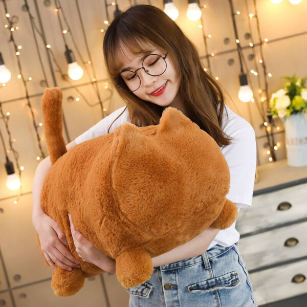 Peluche Chaton Roux