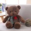 Ours en Peluche Couple Cœur