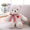 Ours en Peluche Couple Cœur