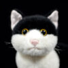 Peluche chat domestique aux gros yeux