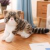 Peluche Chaton mignon