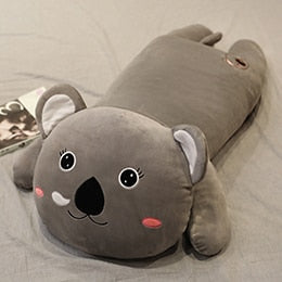 Koala géant timide xxl